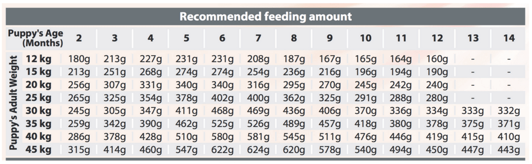 Spectrum Puppy Starter30