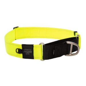 Rogz Dog Utility Control Collar Web XX-Large - Yellow