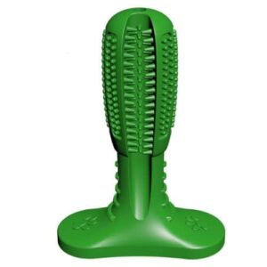 Dog Toothbrush Stick - Medium Green