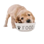 PUPPY-FOOD