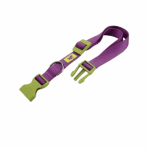 FERPLAST CLUB COLLAR C15/44 PURPLE